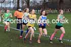 Womens Under-17s, 2024 CAU Inter Counties Cross Country Champs., Wollaton Park, Nottingham. Photo: David T. Hewitson/Sports for All Pics